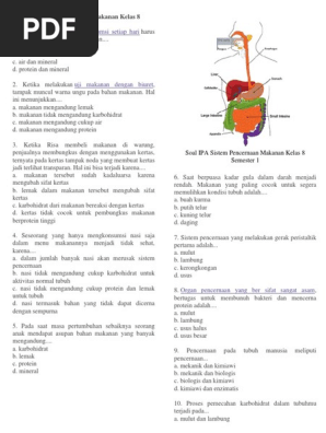 Soal Pencernaan Docx