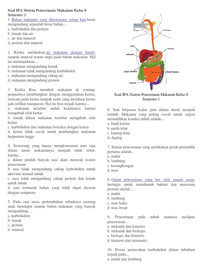 Soal Pencernaan Docx