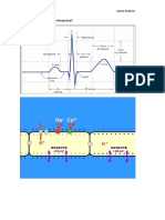 ECGs - Updated