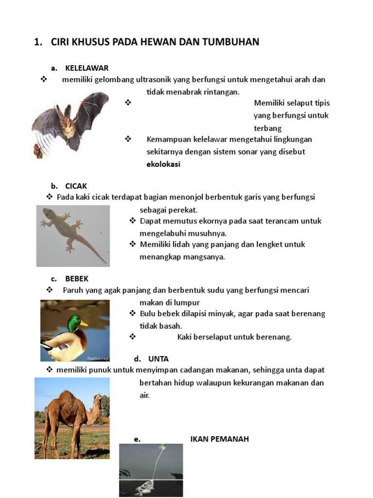 Rangkuman Materi Ipa Pdf