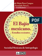 El Bajio Mexicano. Estudios Recientes PDF