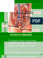 Tarea 6