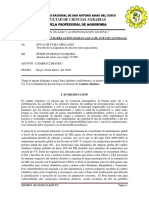 INFORME-PITTER-N°5 Ultimo