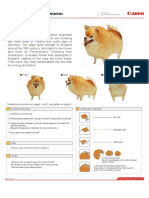 Pomeranian Papercraft PDF