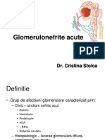 Glomerulonefrite Acute: Dr. Cristina Stoica