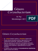Gc3a9nero Corynebacterium