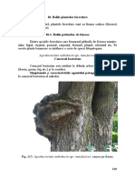 paduri_foioase.pdf