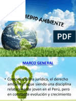 MEDIO AMBIENTE Ppts