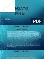 Ensayo Final Petroleo