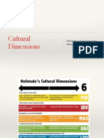 Cultural Dimensions Summary