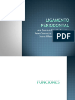 Ligamentoperiodontal 110906205540 Phpapp01