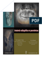Fronteras Anatomicas Radiografia Panoramica