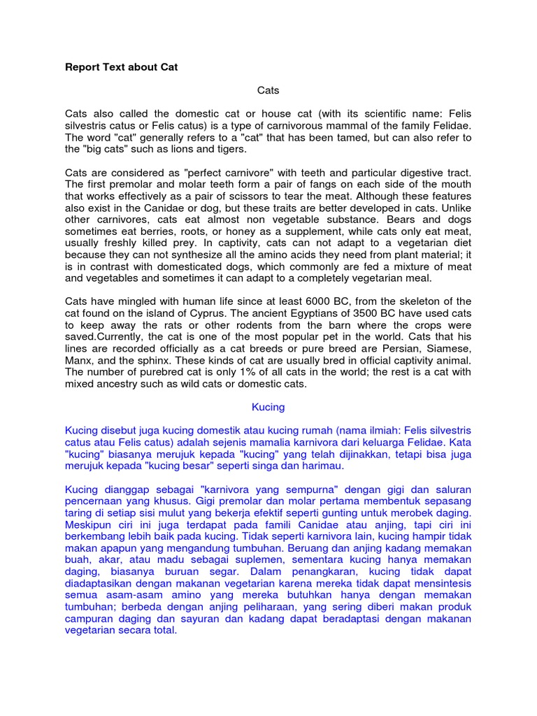 Report Text About Cat Cats Banks
