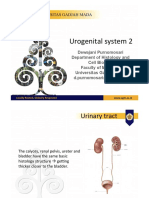 2016 03 14 Urogenital System 2.compressed