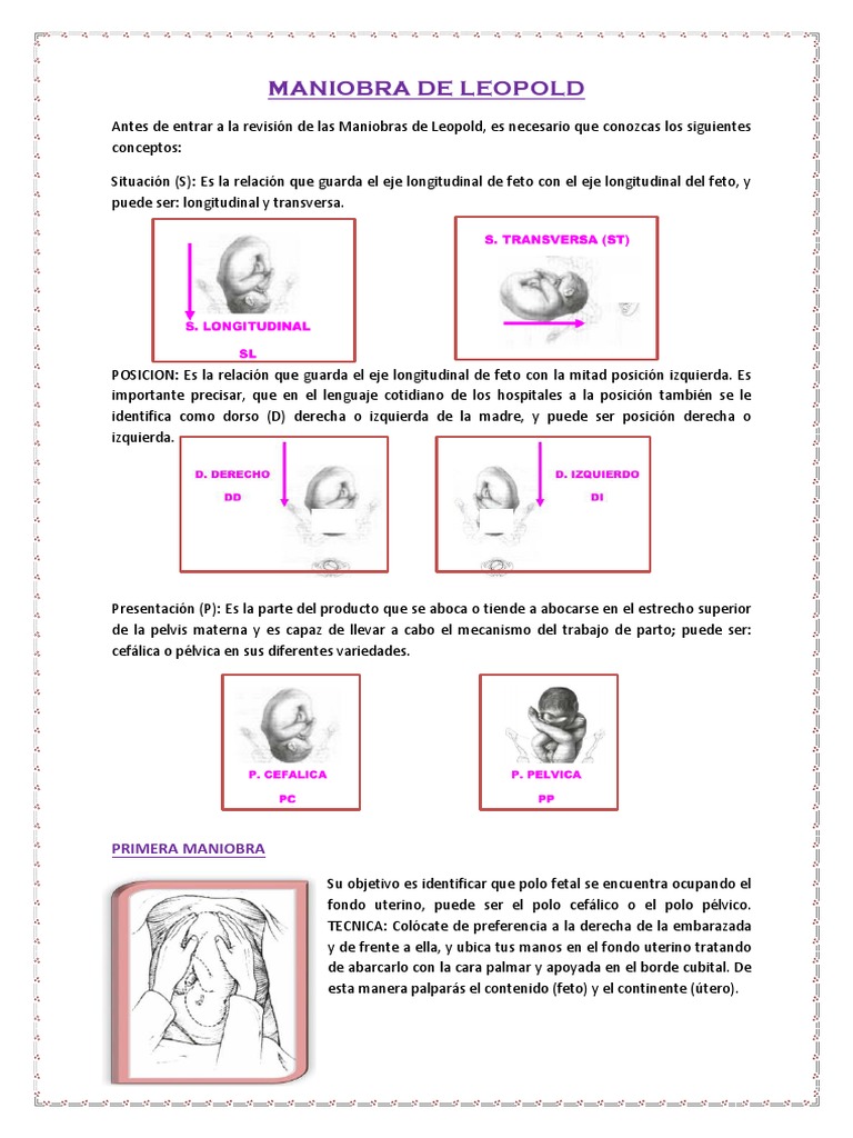 Maniobras de Leopold en Obstetricia | PDF | El embarazo | Mano