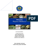 Makalah Phylum Mollusca