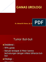 Tumor Urogenital