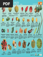 Frutos Cartaz Terceira Ediçao 2017