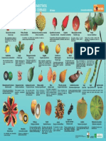 Frutos Cartaz Terceira Ediçao 2017