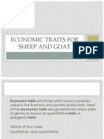 Economic Traits For Sheep and Goat