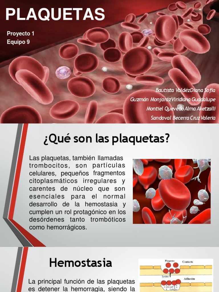 Equipo 9 Plaquetas | PDF | Plaqueta | Hemostasia