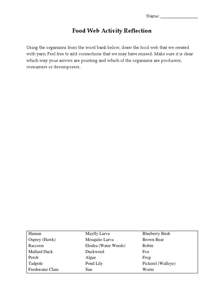 Food Web Activity Reflection | PDF