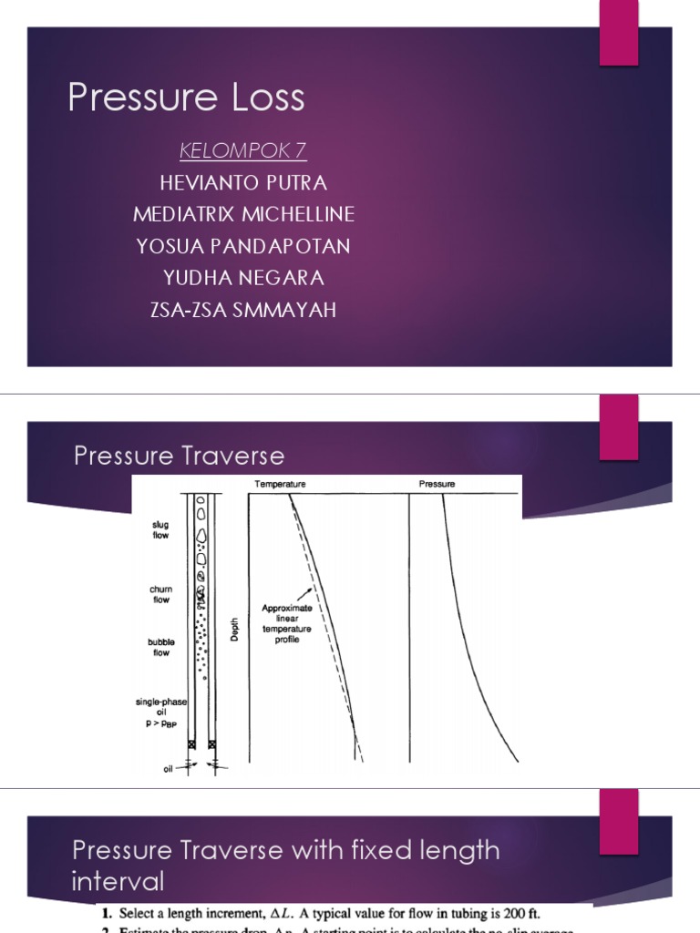 Calculating Pressure Loss in Tubing | PDF