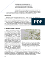 Árboles-más-resistentes.pdf