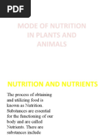 Download Mode of Nutrition in Plants and Animals by ankitapuwar SN37074670 doc pdf