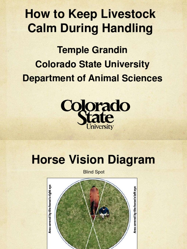 WHAT IS ANIMAL BEHAVIOUR PDF intelligence overview