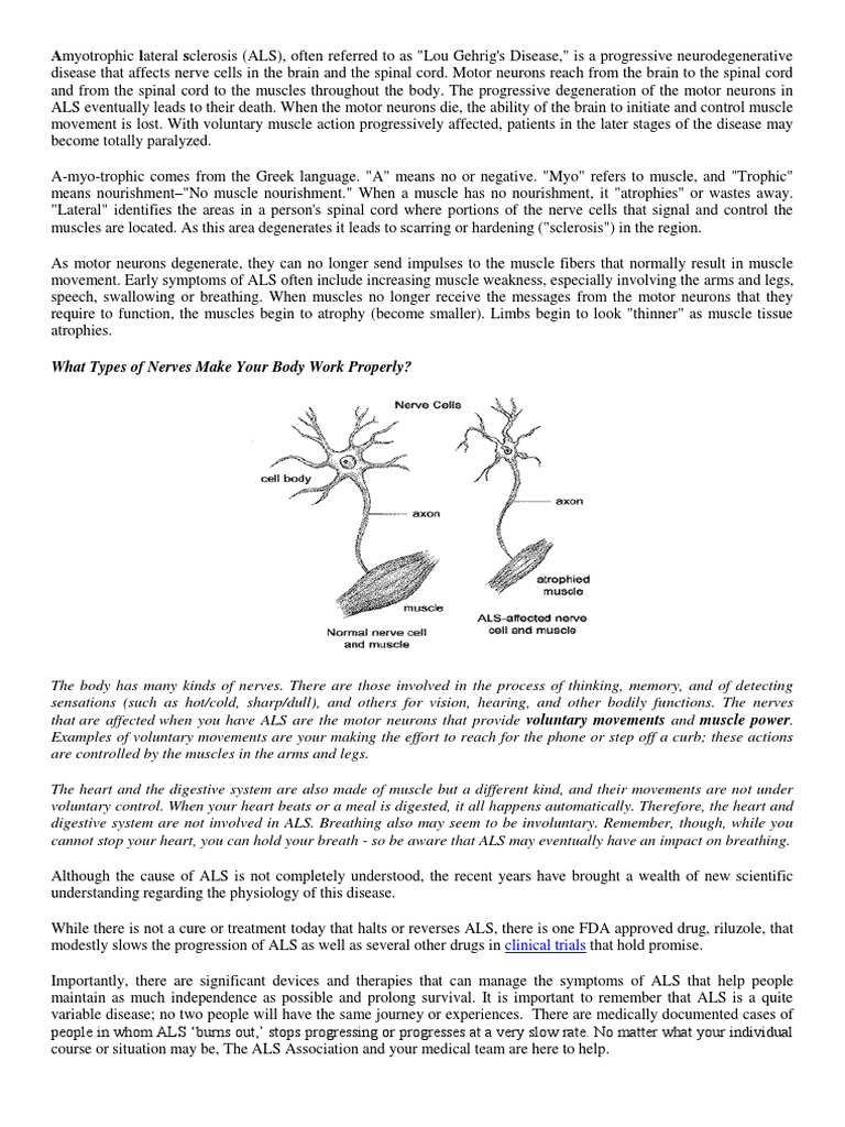 Amyotrophic Lateral Sclerosis | PDF | Amyotrophic Lateral Sclerosis ...