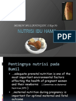 Nutrisi Ibu Hamil