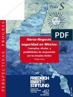 Narco-Negocio y Seguridad en México PDF