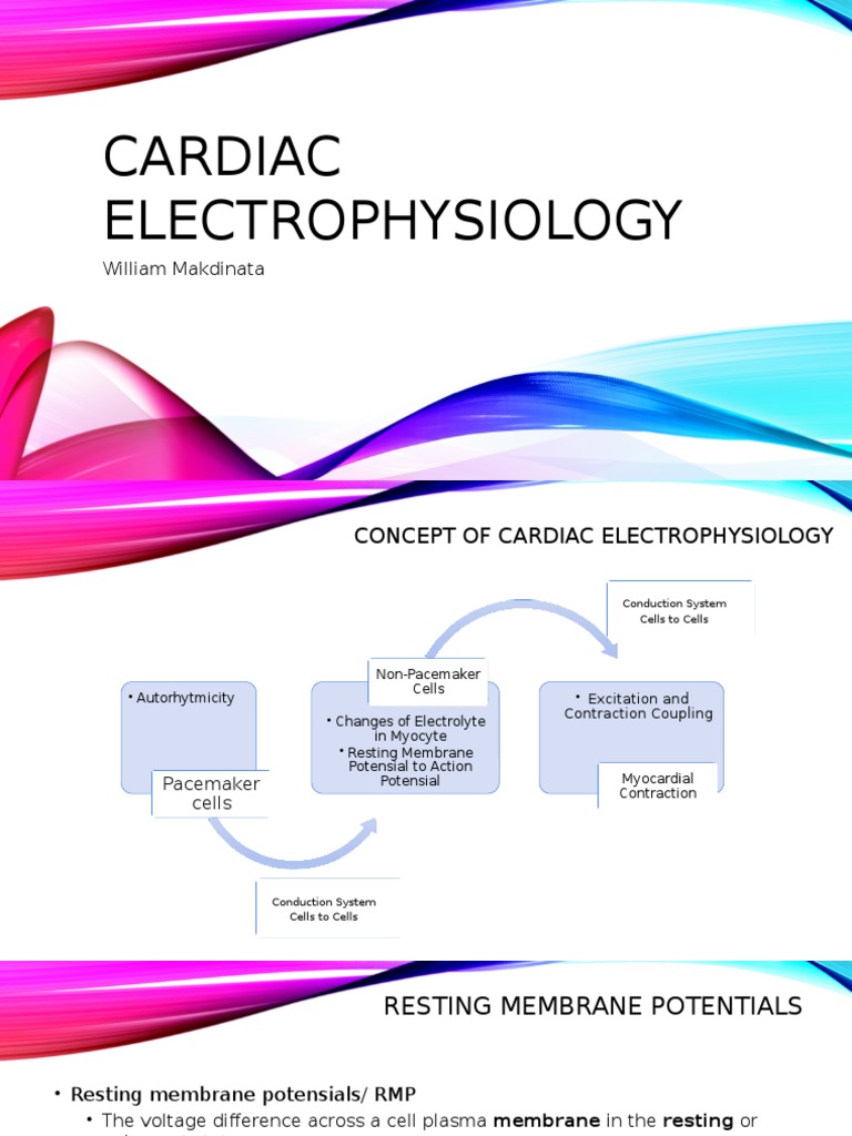Cardiac Electrophysiology William Makdinata PDF Membrane Potential