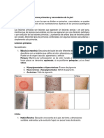Lesiones primarias y secundarias de la piel