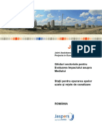 JASPERSEIAGuidelines2010APEUZATE.pdf