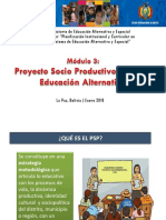 Proyecto Socio Productivo de Educacin Alternativa