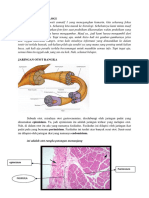 Tentir Praktikum Histologi