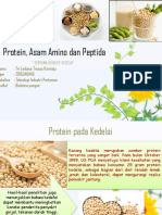PBIO-Tri Lediana Tressa-Asam Amino Peptida Dan Protein