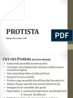 PROTISTA N Protista Mirip Hewan (Protozoa)