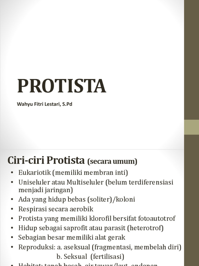 91 Gambar Protista Hewan Tumbuhan Dan Jamur Gratis