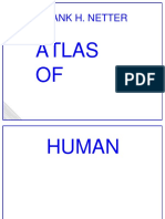 Anatomia Frank H Netter - Atlas of Human Anatomy New!!!