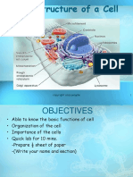 Cell Structure THEBEST