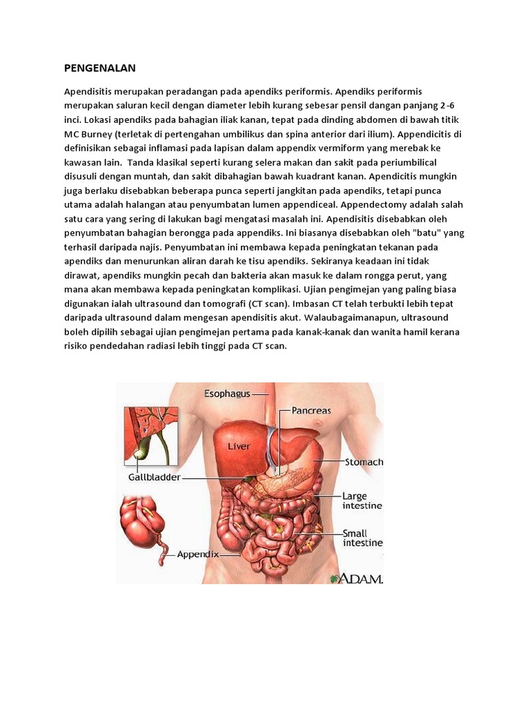 Appendix | PDF | Pengembangan Diri