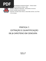 Extração e quantificação do beta-caroteno