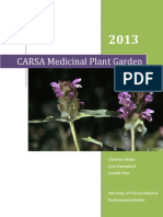 CARSA Medicinal Plant Garden - Fall2013