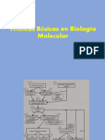 8.técnicas Básicas en Biología Molecular