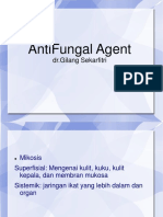 Presentasi Antifungal