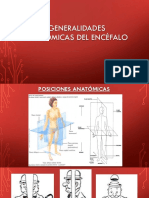 CLASE 1. GENERALIDADES ANATÓMICAS DEL ENCEFALO.pptx