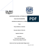 Fundamento de Flujo Multifasico .pdf